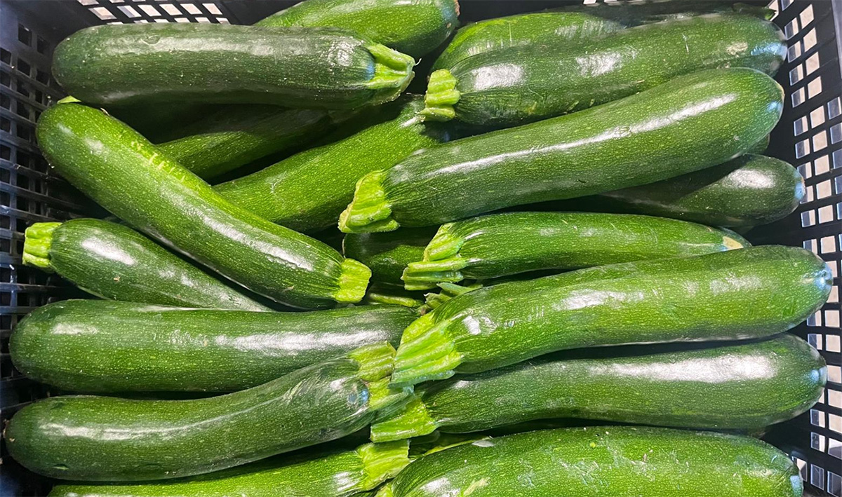 Zucchine - Italia - 0,80/0,90 euro al chilogrammo